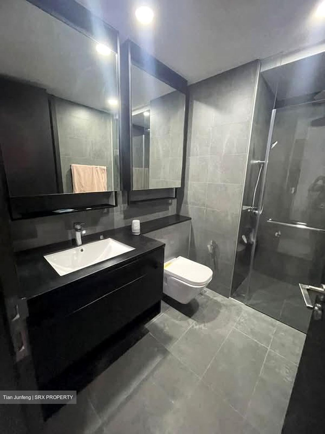 Park Colonial (D13), Condominium #567903521